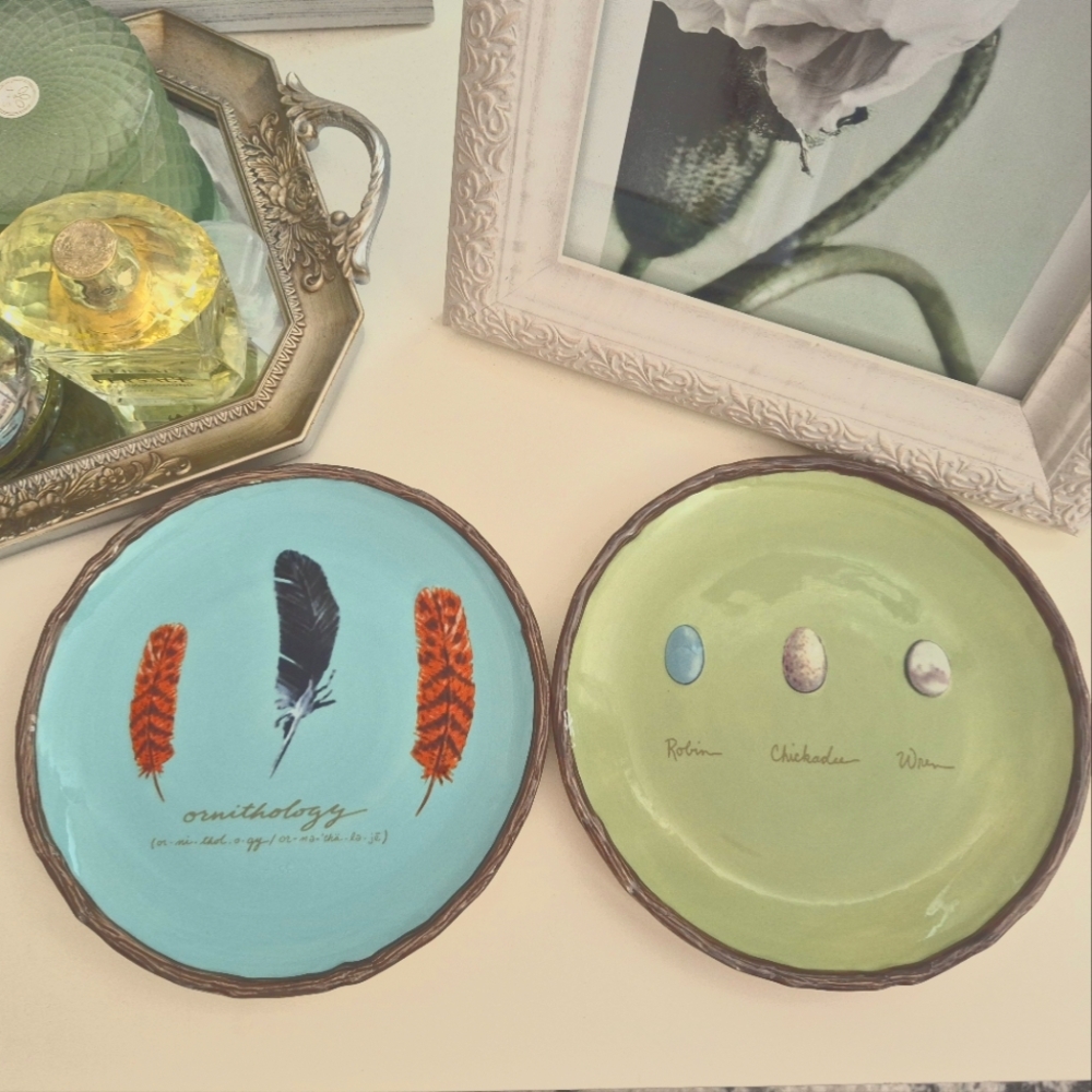 MWW Market Feather‎ Ornithology Robin Chickadee Wren Egg Salad Plates Set Of 2